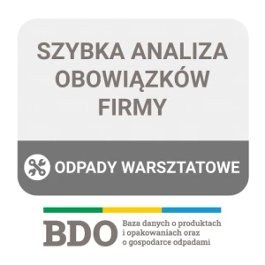 Usługa analizy danych w  BDO  - Branża automotive / motoryzacyjna 